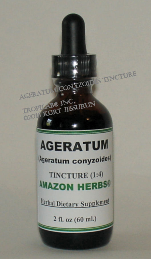 Ageratum conyzoides - Ageratum (Billy goat weed) tincture, only for US$18.65 per 2 fl oz. Treatment for colic, colds and fevers,
 diarrhea, rheumatism, spasms; also used as a tonic. Recommended for burns and wounds; also used for its antibacterial properties, for many infectious conditions and bacterial infections.