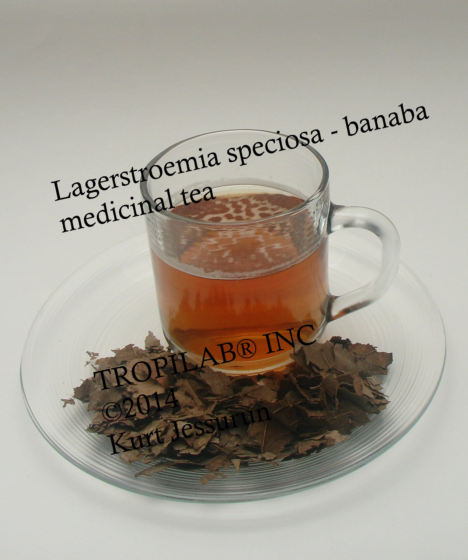 Banaba, Lagerstroemia speciosa thee, is nuttig bij de preventie- en behandeling van extreem-overgewicht (zwaarlijvigheid) 
bij type 2 diabetes; het is ook een veilig en populair ingredient in voedingssupplementen voor gewichtsvermindering (vet-verbranders) en producten voor het ontgiftigen (detox) van het lichaam
