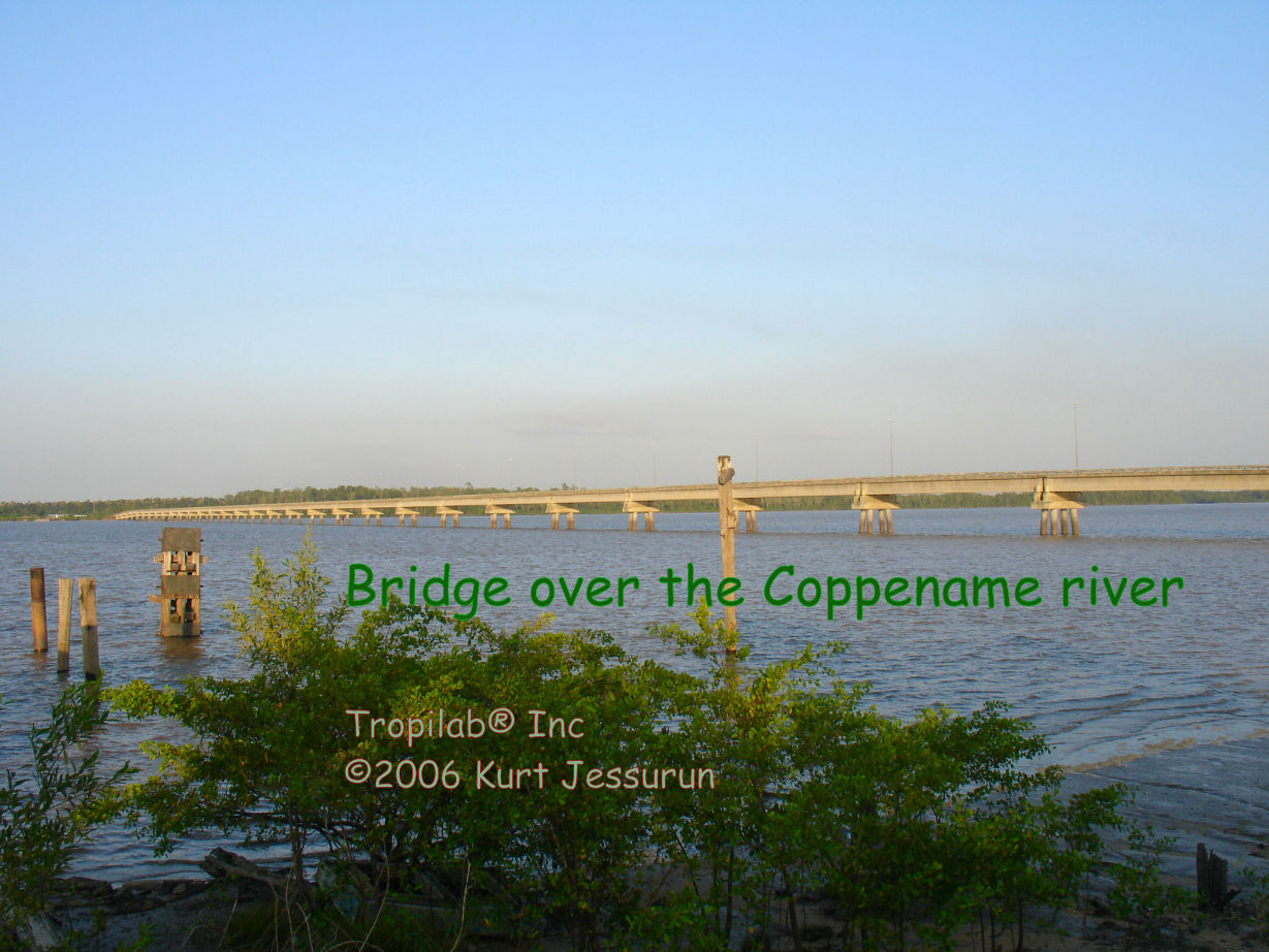 Bridge over the Coppename river