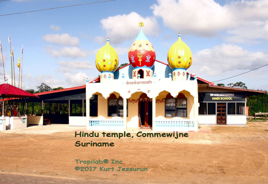Hindu tempel in Commewijne