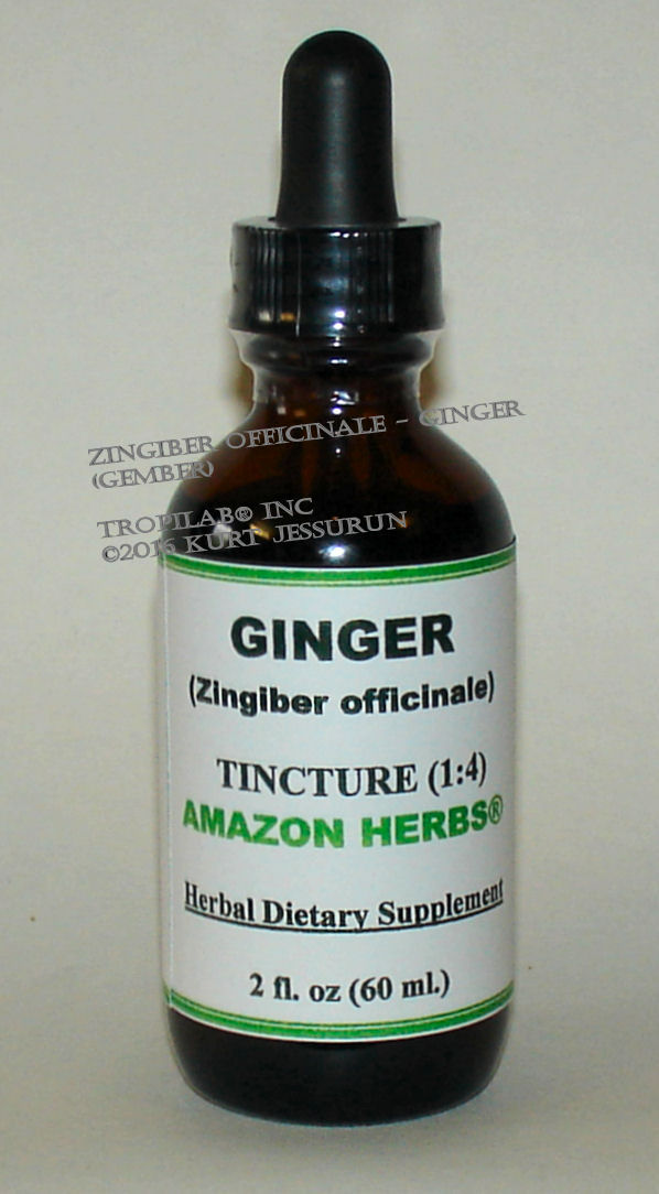 Zingiber officinale - Ginger tincture.