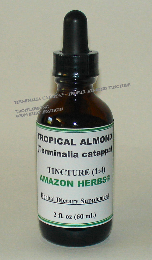 Terminalia catappa - Tropical almond tincture, price US$18.65 p/2 fl oz. Terminalia catappa possesses good antihepatotoxic
 activity and superoxide radical scavenger activity. It can be used as an alternative treatment instead of the prolonged use of
 prescription drugs for yeast infections such as chronic candiasis related illness.