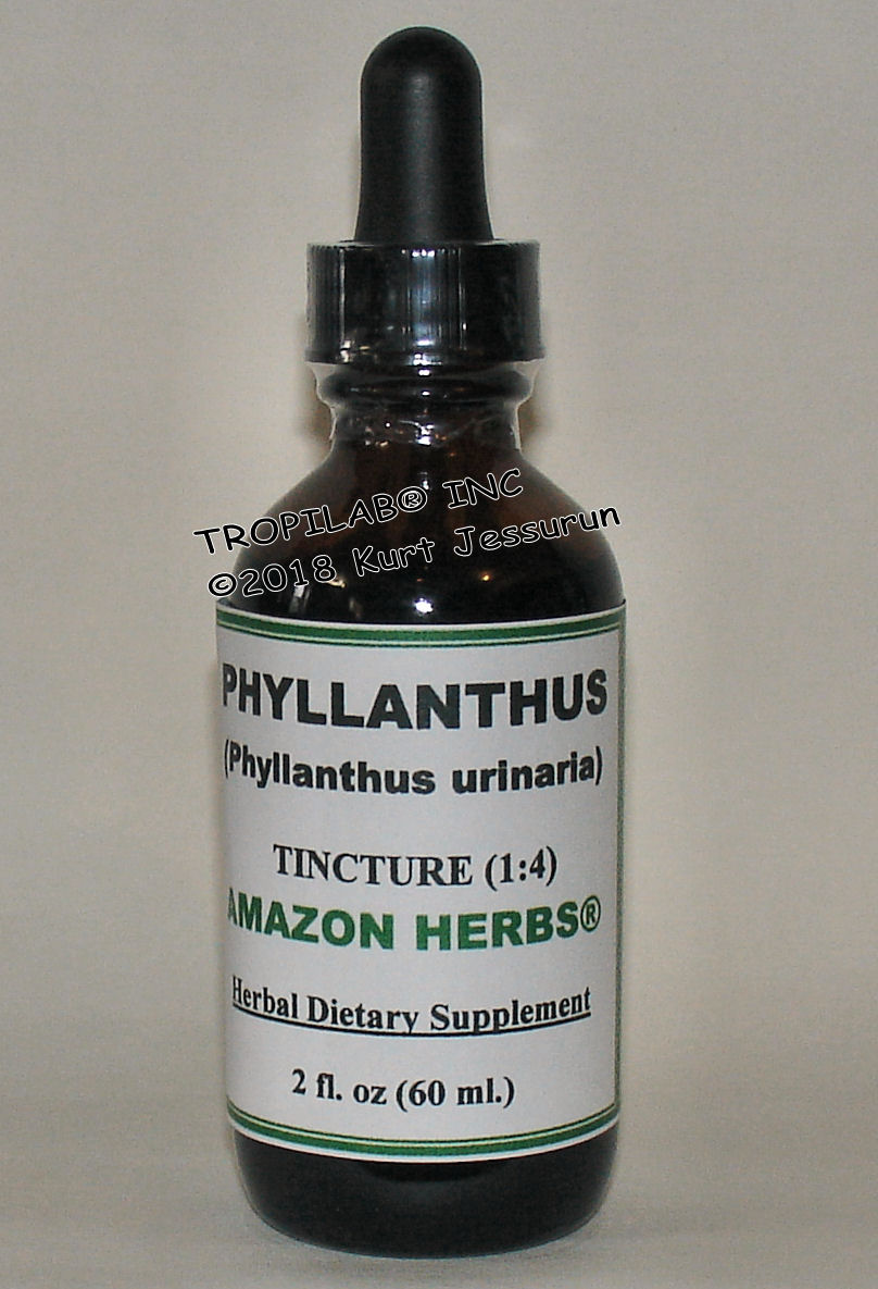 Phyllanthus urinaria-Shatterstone tincture (Tropilab). Phyllanthus eliminates gall bladder - and kidney stones,
 as  well as infections, due to its spasmolytic activity. It prevents liver damage. Effective against hepatitis and gout. Lowers systolic
 blood pressure, increased urine volume, increased urine - and sodium excretion.