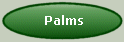 Palm seeds