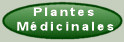 Le Soutien de Plantes Médicinales 