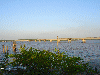 Bridge over the Coppename river
