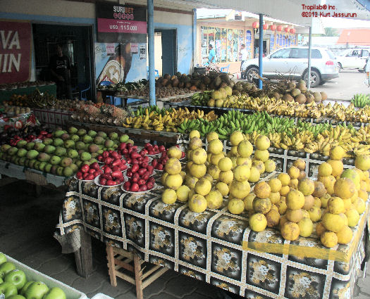 Tropical fruits on the market - Tropilab