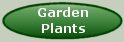 Garden plants