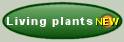 Living plants
