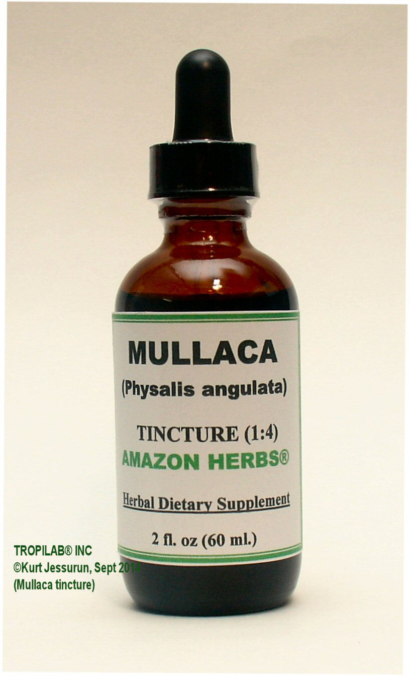 Mullaca tincture