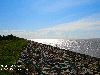 Sea wall Nickerie