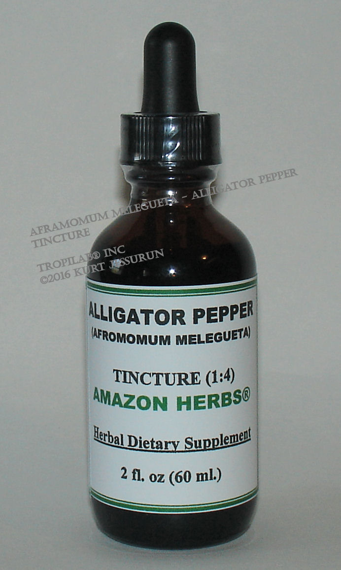 Aframomum melegueta - Alligator pepper tincture, only for US$18.65 per 2 fl oz. 
Alligator pepper is safely used for males having problems with erectile dysfunction, premature ejaculation and as an aphrodisiac.
 Used successfully against MRSA, a bacterium resistant to many antibiotics, and skin infections.