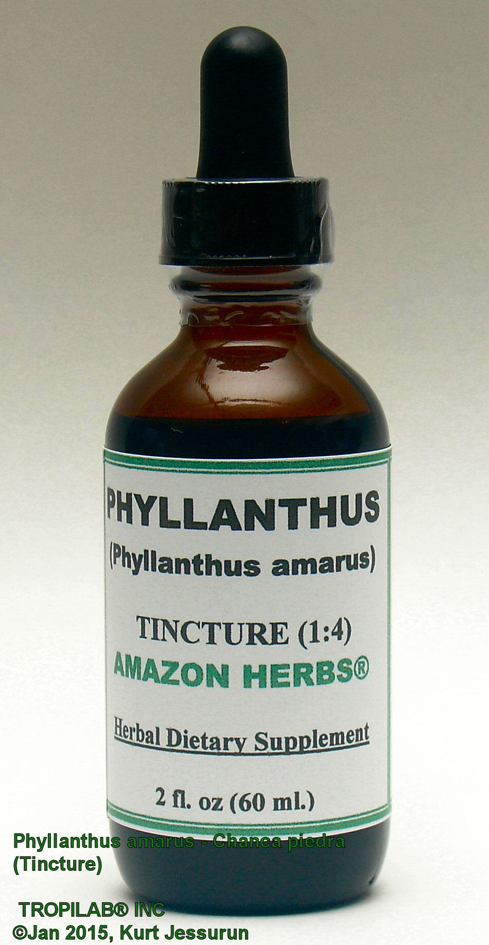 Phyllanthus amarus, Chanca piedra herbal tincture - Tropilab; is used extensively for liver, kidney and gall bladder
 function. Also used against diabetes, frequent menstruation, gonorrhea, gout and jaundice.