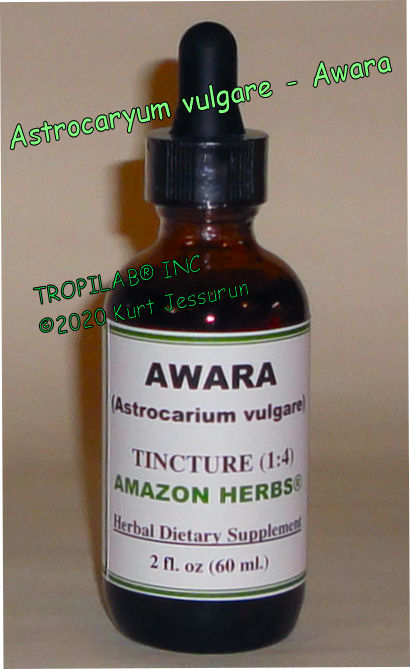 Astrocaryum vulgare - Awara tincture (Tropilab)