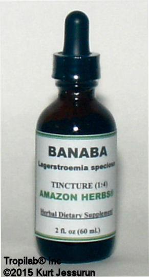 Banaba, Lagerstroemia speciosa tinctuur te koop voor maar US$24.00 per 60 ml. Het wordt gebruikt bij de behandeling van 
diabetes mellitus (type 2) en verminderde glucosetolerantie. Banaba wordt ook gebruikt om het gewicht onder controle te houden