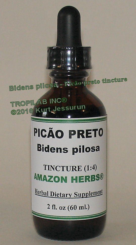 Bidens pilosa-Picao preto tincture only for US$18.65 per 2 fl oz. Bidens pilosa extracts and isolated compounds possess anti
-cancer activities against a variety of cancer cells. It may prove to be an effective and useful medicinal plant for treating leukemia.