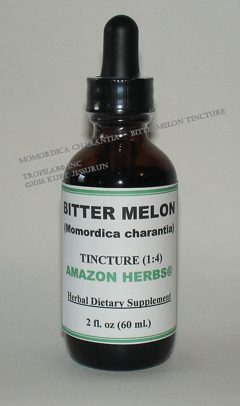 Momordica charantia, Bittermelon tincture only for US$20.45 per 2 fl oz. Bitter melon is used as an appetite stimulant and as a 
treatment for gastrointestinal infection and against breast cancer. It is hypoglycemic (has blood sugar - lowerering effects); also very effective against type 2 diabetes. It has been proven to increase the number of beta cells (those which produce insulin) in the 
pancreas and is natural support for diabetics.