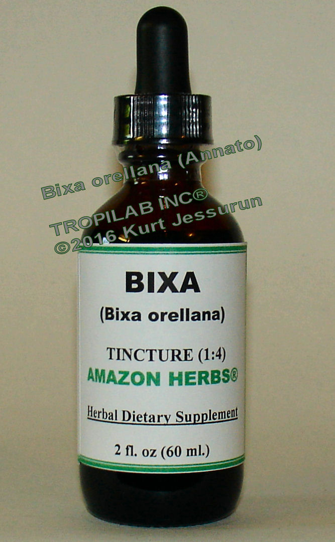Bixa orellena-Annato tincture only for US$18.65 per 2 fl. oz. Tincture, made from the fruit and seeds, is anti-fungal, anti-oxidant, 
anti-bacterial and anti-inflammatory. A treatment for heartburn, diuretic, high cholesterol, liver and stomach disorders.Also used as an aphrodisiac, stops coughing, reduces phlegm, it is mildly laxative and reduces acid.