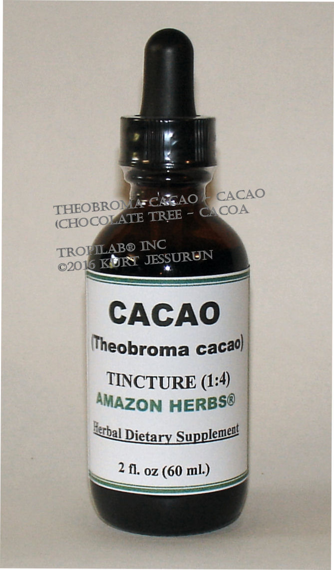 Theobroma cacao - Cacao tincture (Tropilab).