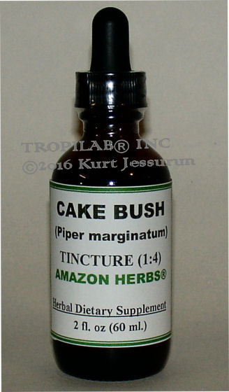 Piper marginatum (Cake bush) tincture