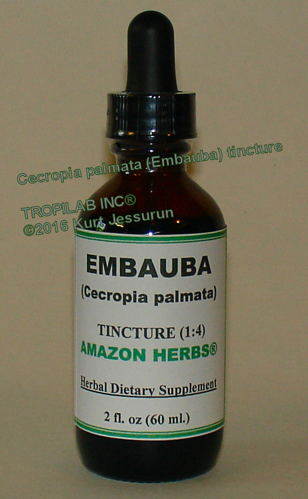 Cecropia palmata, Embauba tincture (Tropilab).