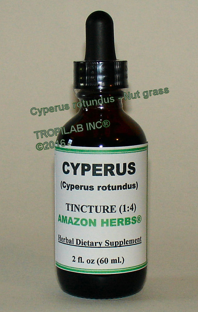 Cyperus rotundus (Nutgrass) tincture, only for US$18.65 per 2 fl oz. Cyperus have analgesic, anthelmintic, antibacterial, antifungal,
 antispasmodic, astringent, carminative, emmenagogue, hypotensive, sedative and used as a tonic. Also used for the liver,
 menstrual disorders, menstrual pain, as a natural digestive stimulant and for memory. To treat diarrhea, gas and infertility. It can help with some kinds of cervical cancer. The calming effect helps relieve depression.