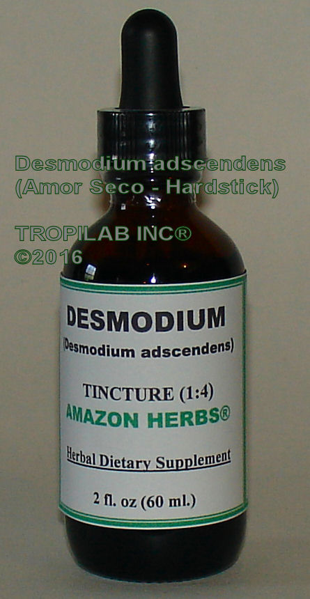 Desmodium adscendens (Amor seco) tincture