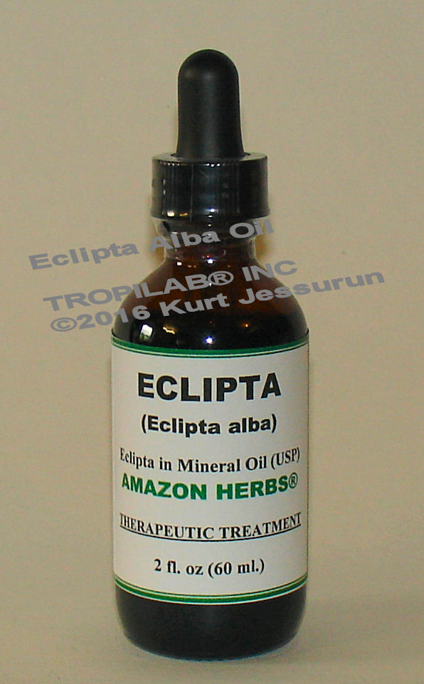 Eclipta alba Oil only for US$12.60 per 2 fl oz. Eclipta oil is known to potentiate hair growth promotion; it keeps the hair dark and 
lustrous; promotes faster hair growth. It nourishes and improves the hair and turns grey hair darker again or restores the natural color.