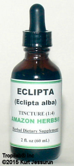 Eclipta alba tincture only for US$18.65 per 2 fl oz. Eclipta is used for the treatment of liver ailments, such as cirrhosis, infective 
hepatitis and other conditions involving hepatic enlargement. The oil is used to maintain and rejuvenate the hair, it is also used against skin disorders