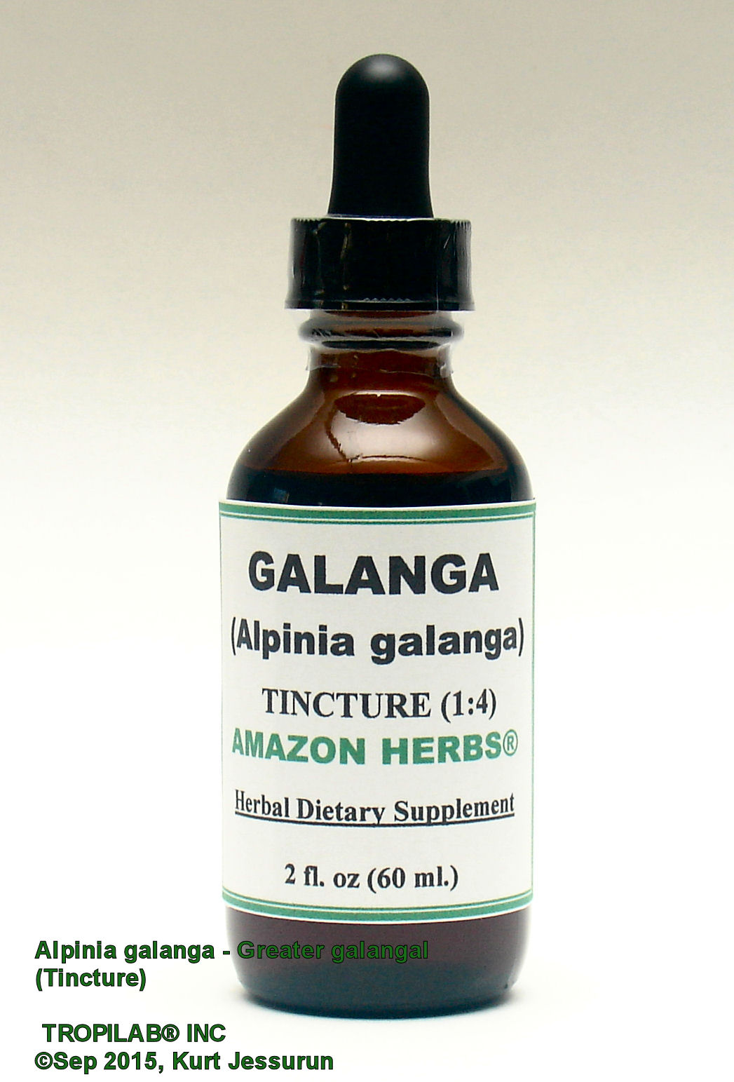 Alpinia galanga (Greater galanga) tincture