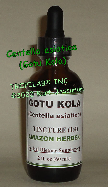 Centella asiatica (Gotu Kola) tincture - TROPILAB