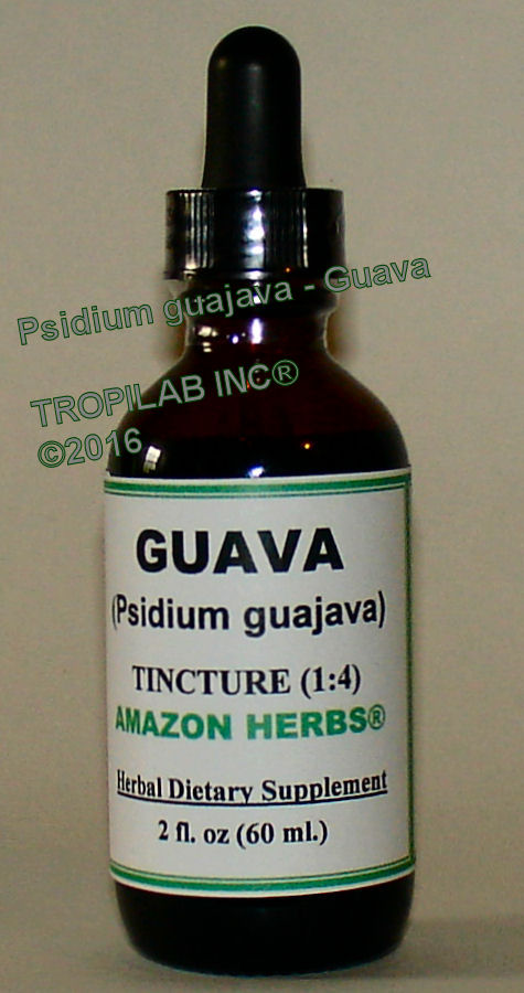 Psidium guajava (Guava) leaves tincture- Tropilab