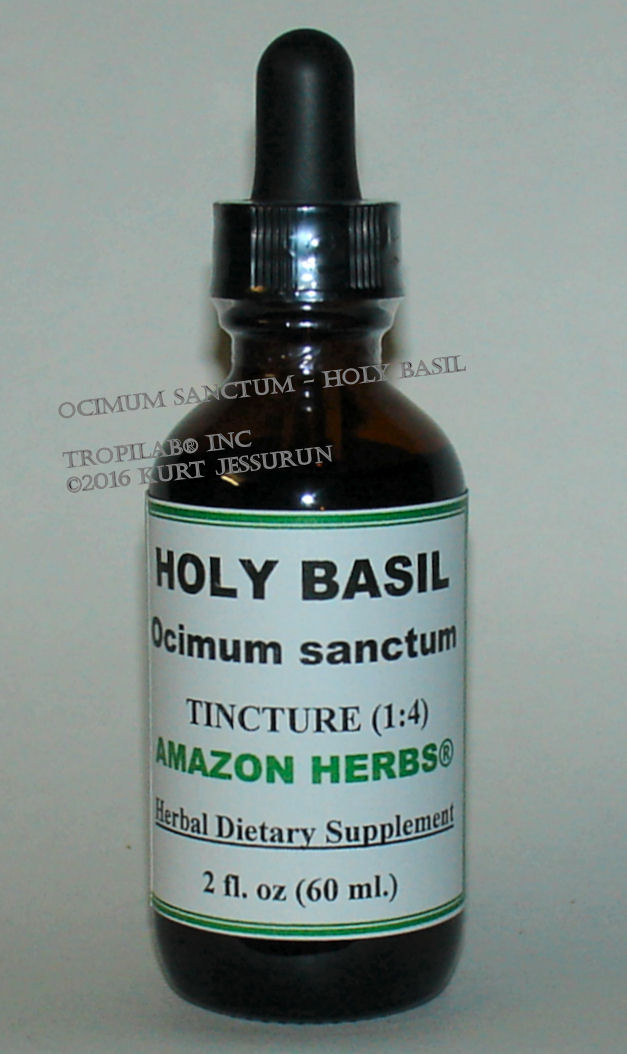 Ocimum Sanctum - Holy basil (Tulsi) tincture - Tropilab. Used against 
many diseases and ailments, anti-inflammatory, expectorant, analgesic.