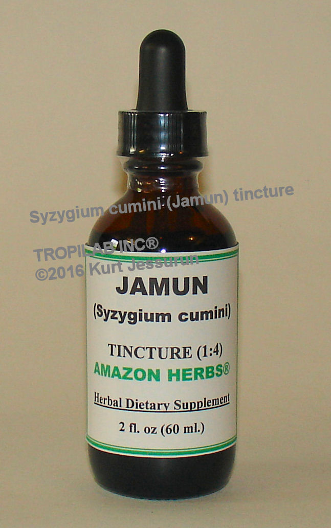 Syzygium cumini (Jamun) tincture - Tropilab
