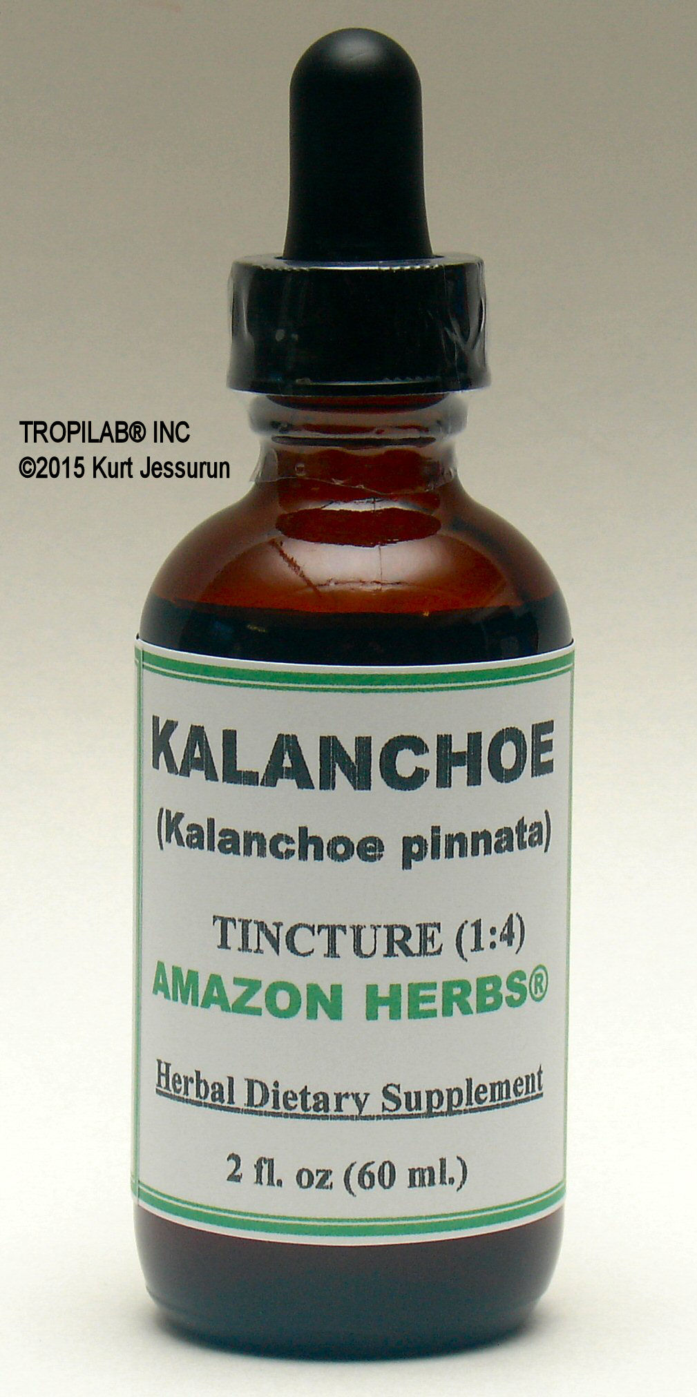 Kalanchoe pinnata, Air plant tincture only for US$18.65. Used against headaches, backaches and rheumatism. Against upper
 respiratory tract infections, URTI's, works against viral, bacterial and fungal infections. Against leishmaniasis; hepatoprotective.
 The tincture works on varicose veins, stimulates the blood circulation. Can also be topical applied to wounds, boils, and insect bites.