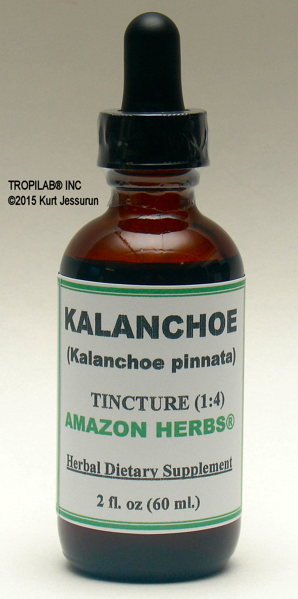 kalanchoe pinnata medicinal uses