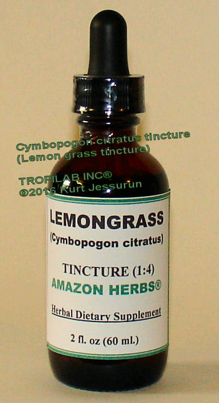 Cymbopogon citratus - Lemon grass tincture