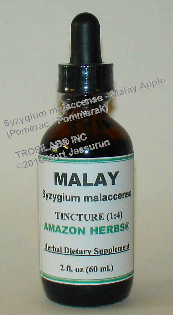 Syzygium malaccense - Malay apple tincture (Tropilab). Used as natural remedies for constipation, diabetes, 
coughs, pulmonary catarrh, headache and other ailments.
