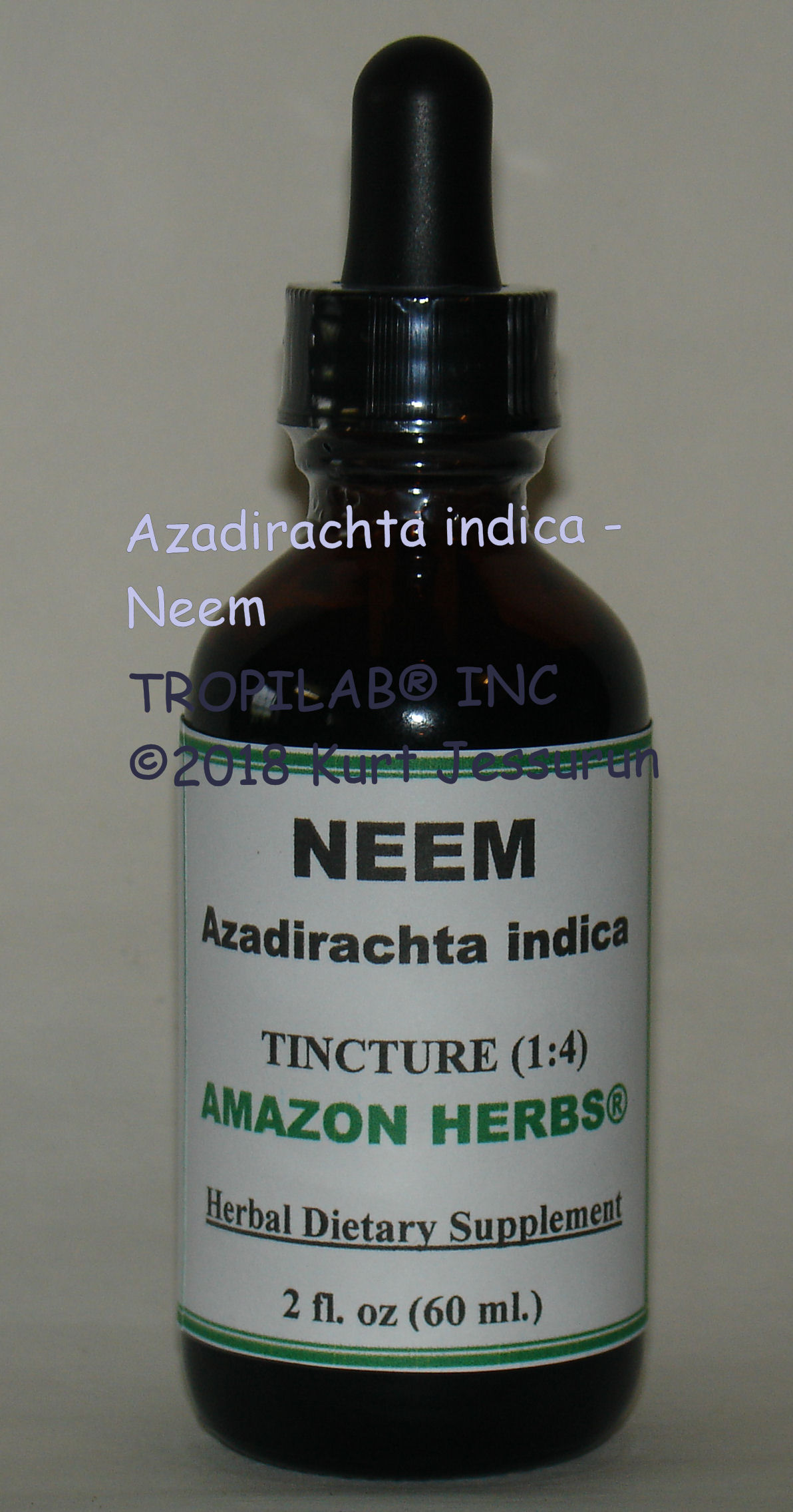 Azadirachta indica - Neem tincture