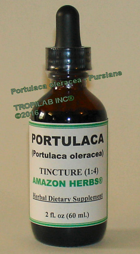 Portulaca oleracea (Purslane) tincture - Tropilab. Portulaca oleracea is a great source of antioxidants.