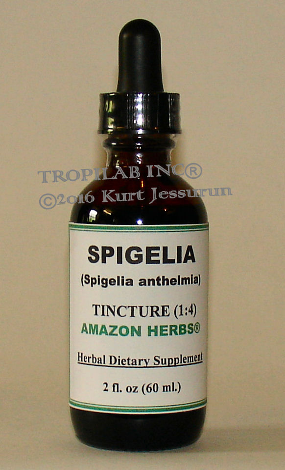 Spigelia anthelmia (Wormbush) tincture
