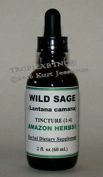 Lantana camara-Wild sage tincture, price US$18.65 p/2 fl oz. This medicinal plant is used for the treatment of skin itches, as an
 antiseptic for wounds, and for external use against leprosy and scabies. The bark is astringent and used as a lotion in leprous
 ulcers and other eruptions of the skin. The leaves are boiled and applied for swellings and pain of the body.